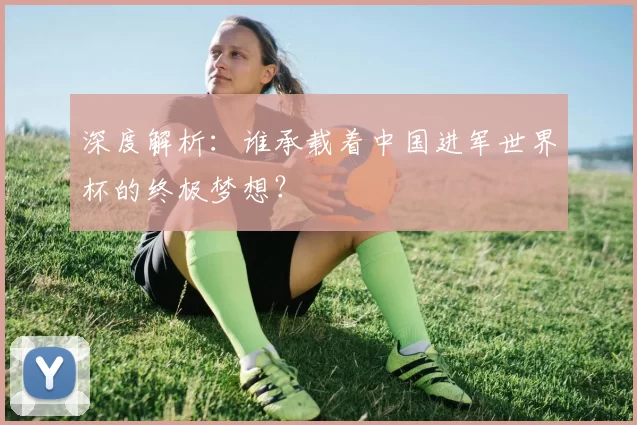 深度解析：谁承载着中国进军世界杯的终极梦想？