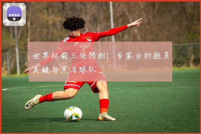 世界杯前三场预测：专家分析胜负关键与黑马球队