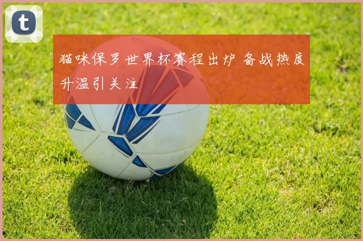猫咪保罗世界杯赛程出炉 备战热度升温引关注