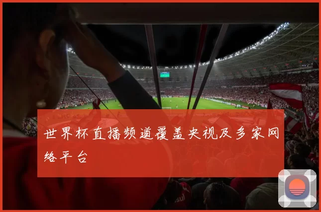 世界杯直播频道覆盖央视及多家网络平台