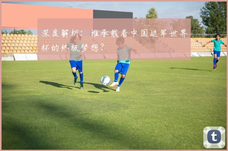 深度解析:谁承载着中国进军世界杯的终极梦想?
