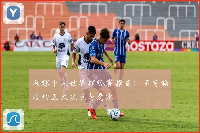 网球个人世界杯观赛指南：不可错过的五大焦点与悬念