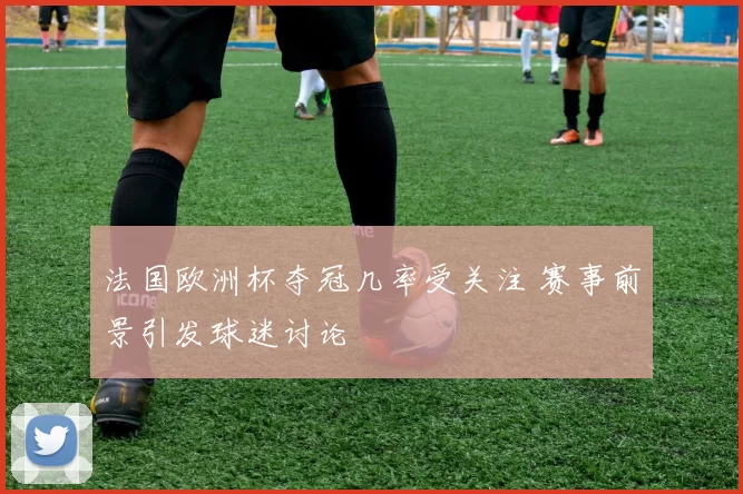法国欧洲杯夺冠几率受关注 赛事前景引发球迷讨论