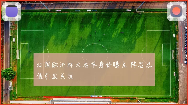 法国欧洲杯大名单身价曝光 阵容总值引发关注