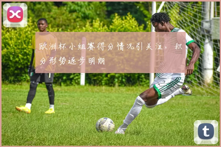欧洲杯小组赛得分情况引关注,积分形势逐步明朗
