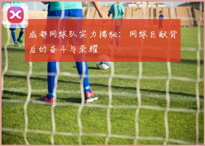 成都网球队实力揭秘:网球巨献背后的奋斗与荣耀