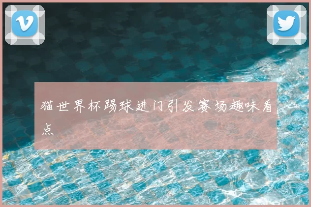 猫世界杯踢球进门引发赛场趣味看点